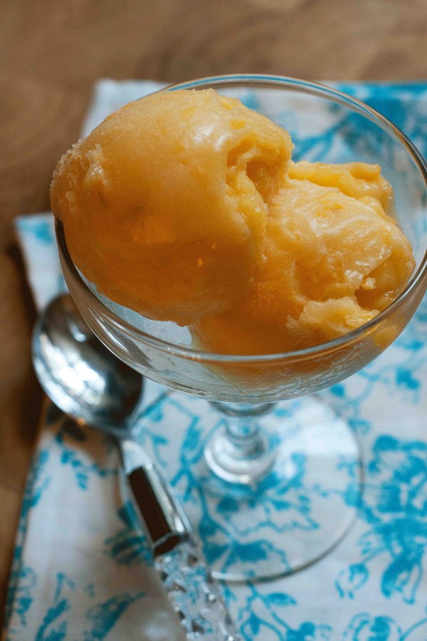 Mango Sorbet – Clearly Delicious