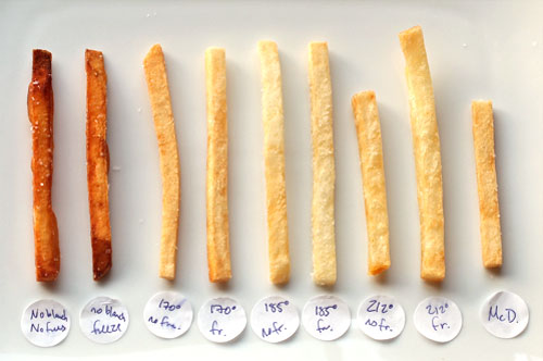 perfect fries