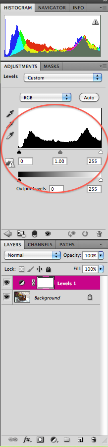 histogram